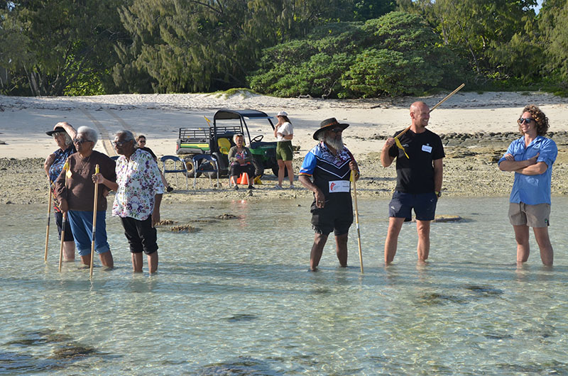 people walking on beach